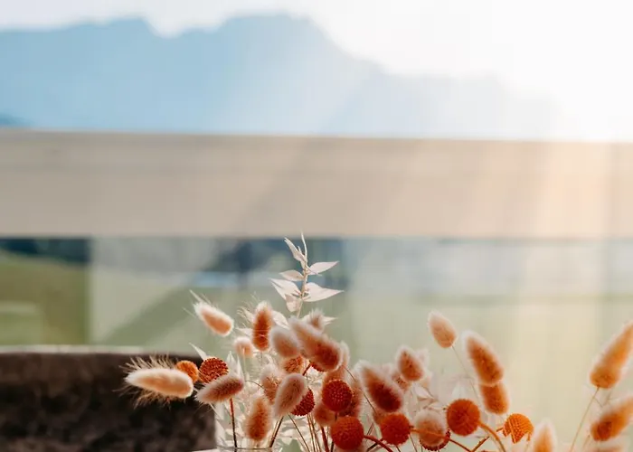 לינה וארוחת בוקר Strasser